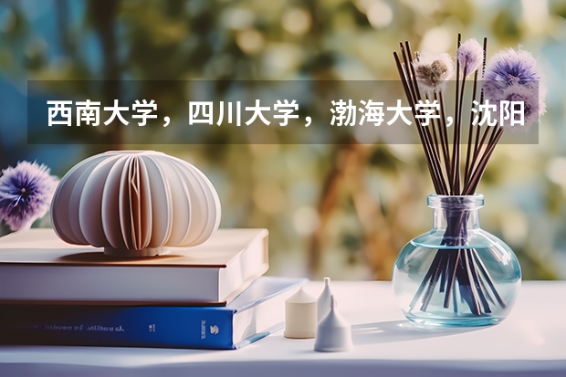 西南大学，四川大学，渤海大学，沈阳师范，江西师范都什么时候出艺考成绩啊。。。。急急急啊。。