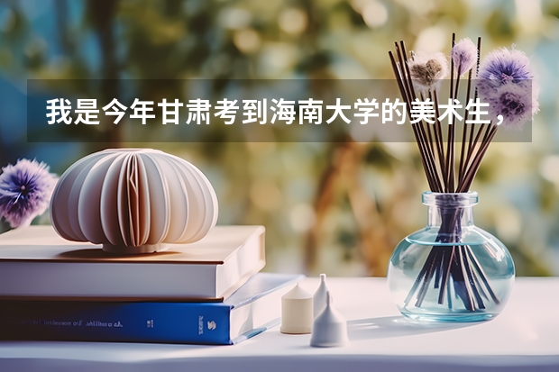 我是今年甘肃考到海南大学的美术生，我应该都带些什么过去，甘肃到海南坐火车好还是飞机好？