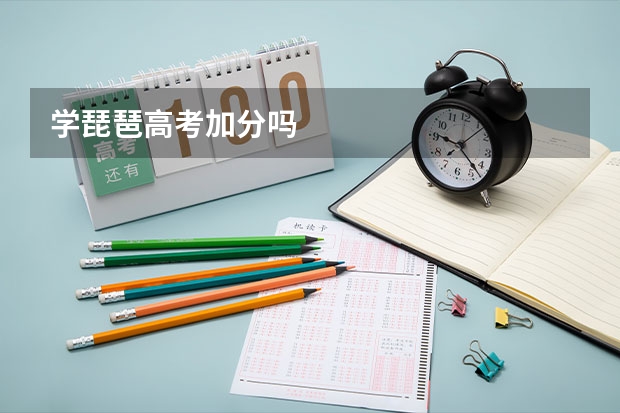 学琵琶高考加分吗