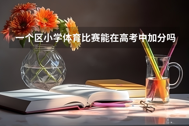 一个区小学体育比赛能在高考中加分吗