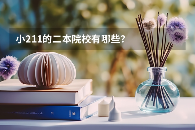 小211的二本院校有哪些？