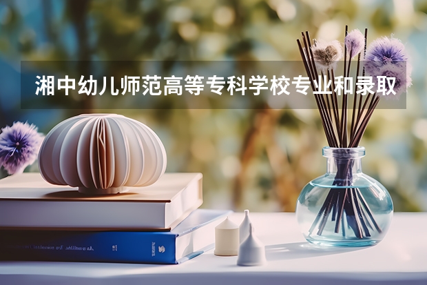 湘中幼儿师范高等专科学校专业和录取分数线介绍