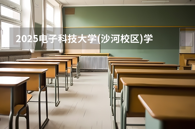 2025电子科技大学(沙河校区)学科评估结果预测