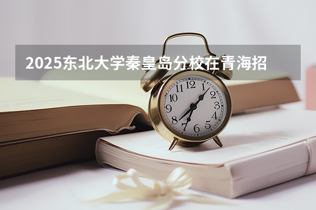 2025东北大学秦皇岛分校在青海招生计划预测
