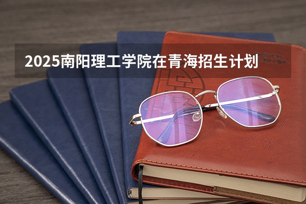 2025南阳理工学院在青海招生计划预测