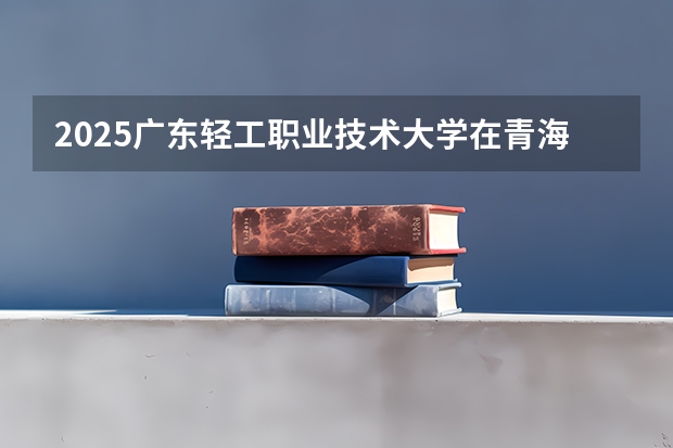 2025广东轻工职业技术大学在青海招生计划预测