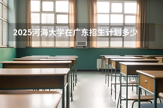 2025河海大学在广东招生计划多少人