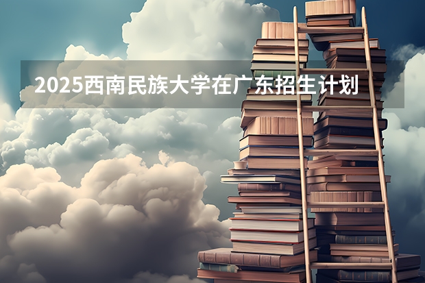 2025西南民族大学在广东招生计划多少人