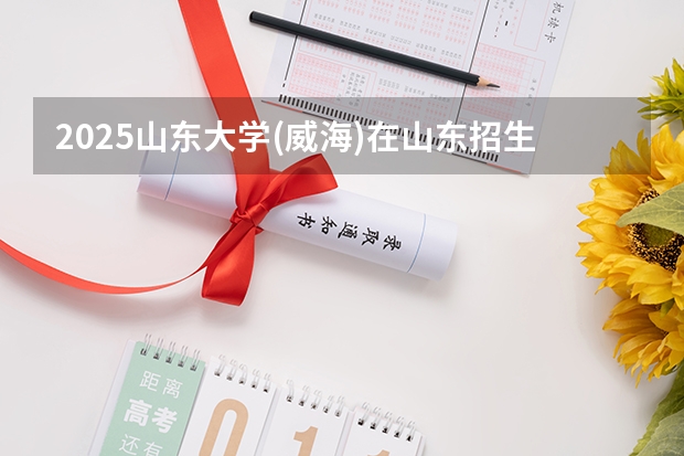 2025山东大学(威海)在山东招生计划多少人