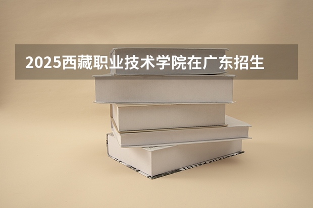 2025西藏职业技术学院在广东招生计划多少人