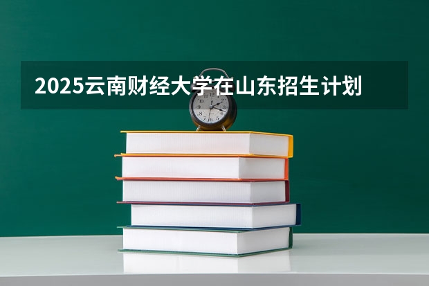2025云南财经大学在山东招生计划多少人