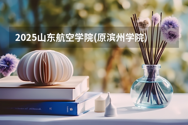 2025山东航空学院(原滨州学院)在山东招生计划多少人