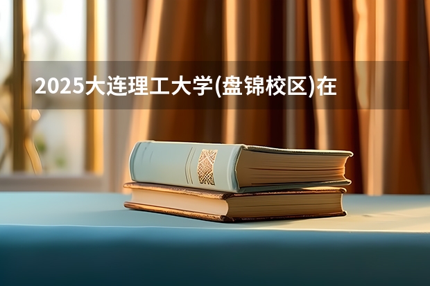 2025大连理工大学(盘锦校区)在广东招生计划多少人