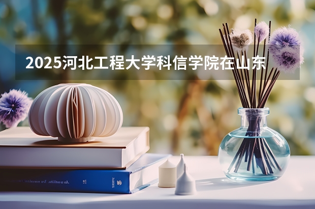 2025河北工程大学科信学院在山东招生计划多少人