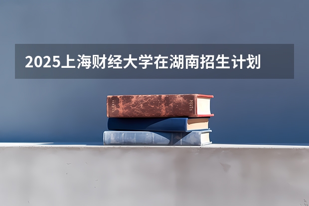 2025上海财经大学在湖南招生计划多少人