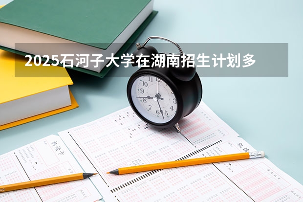 2025石河子大学在湖南招生计划多少人