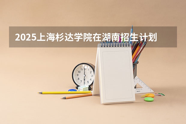 2025上海杉达学院在湖南招生计划多少人