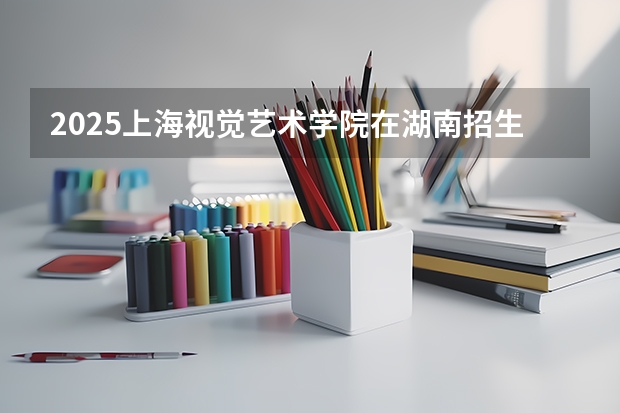 2025上海视觉艺术学院在湖南招生计划多少人