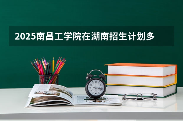2025南昌工学院在湖南招生计划多少人
