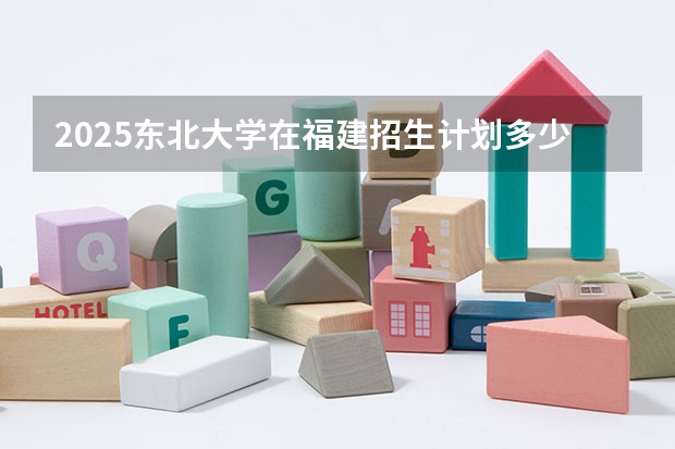 2025东北大学在福建招生计划多少人