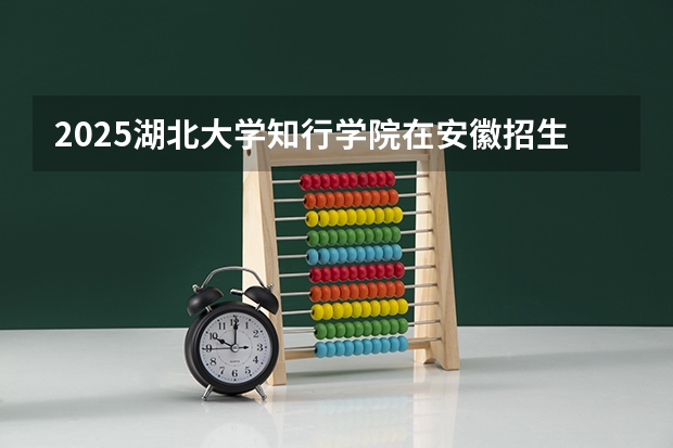2025湖北大学知行学院在安徽招生计划多少人
