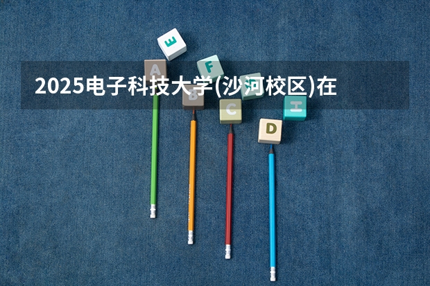2025电子科技大学(沙河校区)在四川招生计划多少人