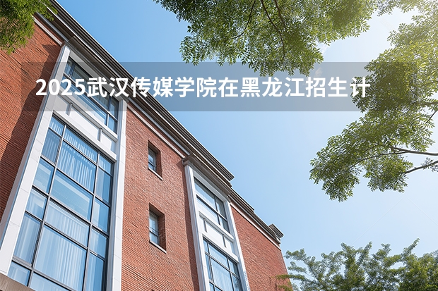 2025武汉传媒学院在黑龙江招生计划多少人