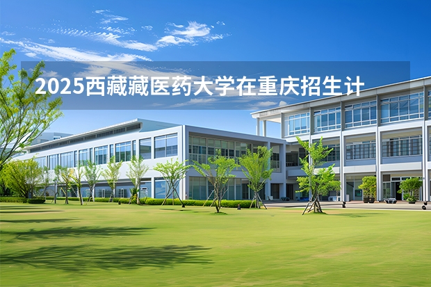 2025西藏藏医药大学在重庆招生计划多少人