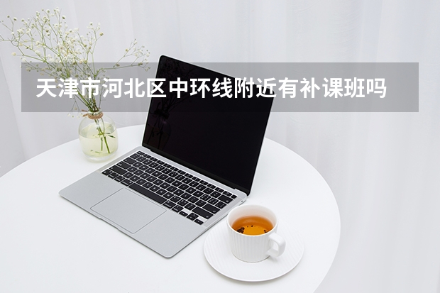 天津市河北区中环线附近有补课班吗