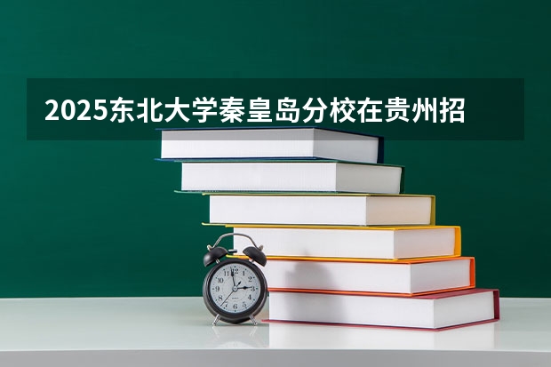 2025东北大学秦皇岛分校在贵州招生计划多少人
