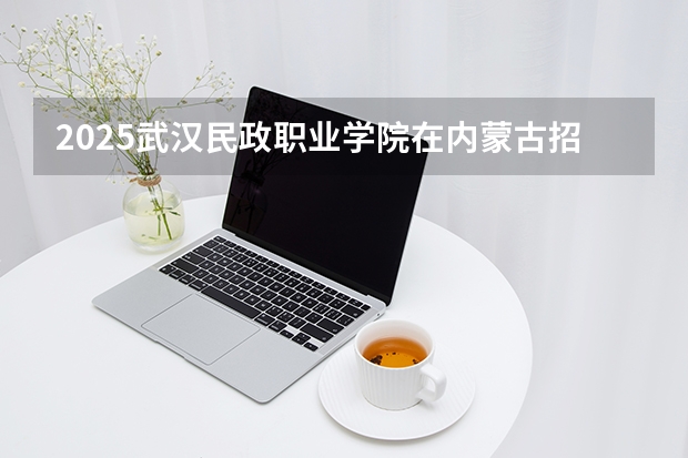 2025武汉民政职业学院在内蒙古招生计划多少人