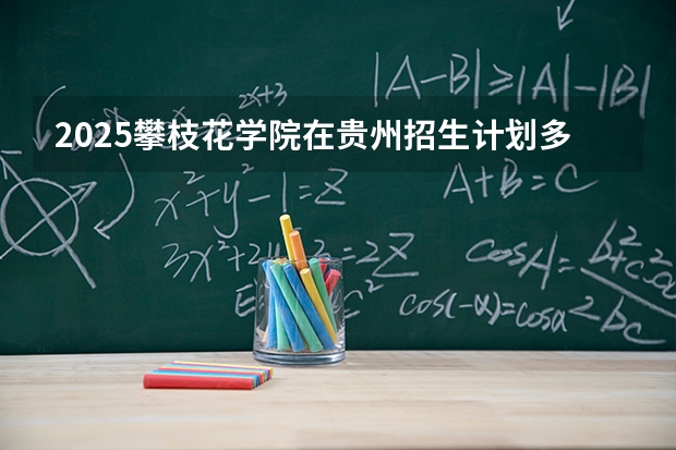 2025攀枝花学院在贵州招生计划多少人