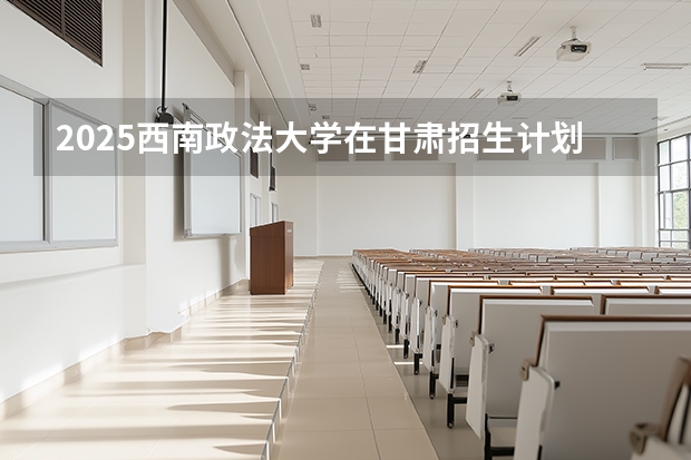 2025西南政法大学在甘肃招生计划多少人