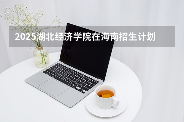 2025湖北经济学院在海南招生计划多少人