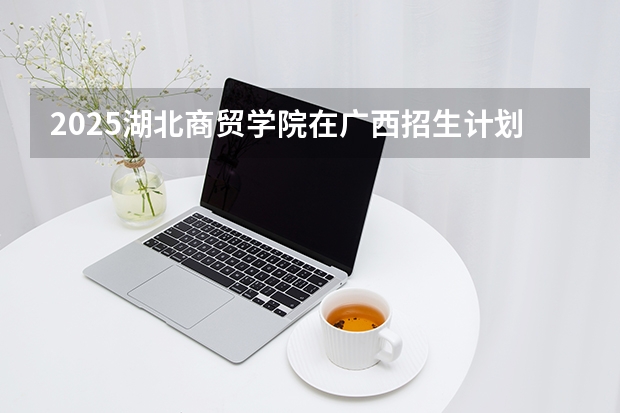 2025湖北商贸学院在广西招生计划多少人