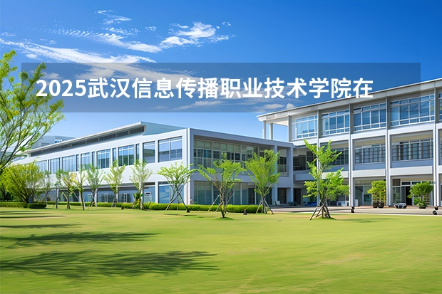 2025武汉信息传播职业技术学院在海南招生计划多少人