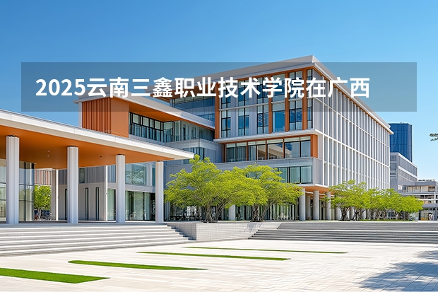 2025云南三鑫职业技术学院在广西招生计划多少人