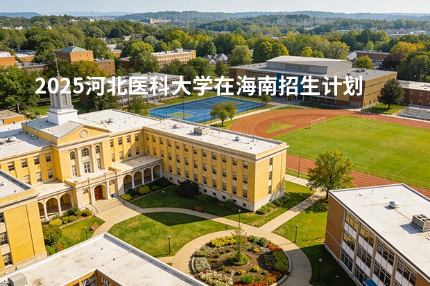 2025河北医科大学在海南招生计划多少人
