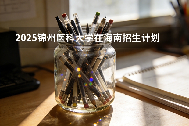 2025锦州医科大学在海南招生计划多少人