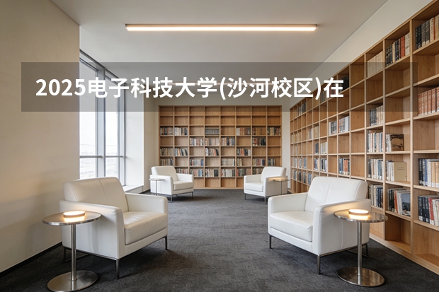 2025电子科技大学(沙河校区)在海南招生计划多少人