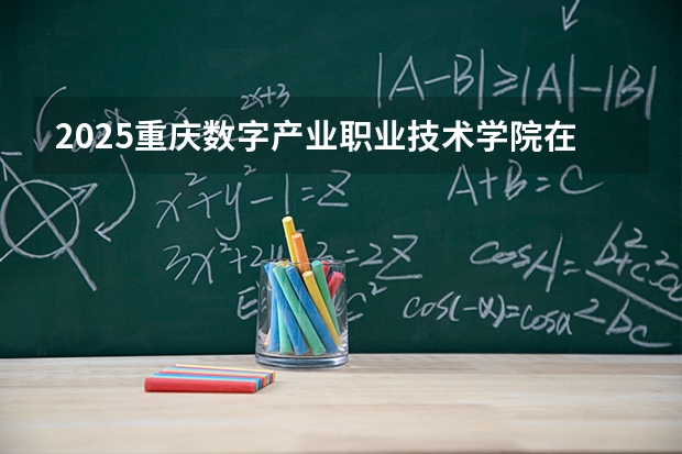 2025重庆数字产业职业技术学院在海南招生计划多少人
