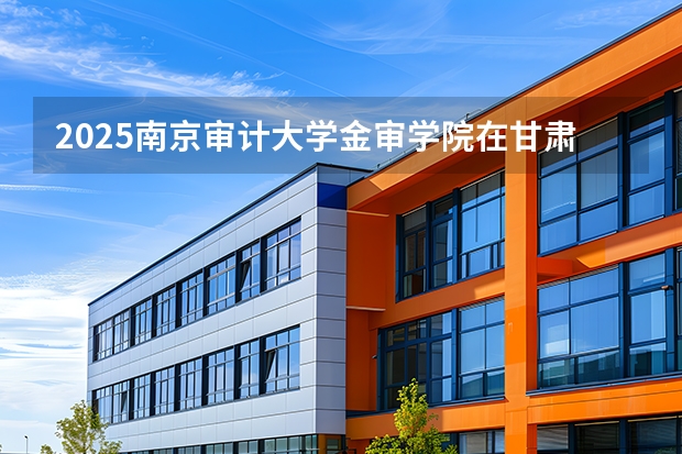 2025南京审计大学金审学院在甘肃招生计划多少人