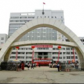 河北工业职业技术大学LOGO
